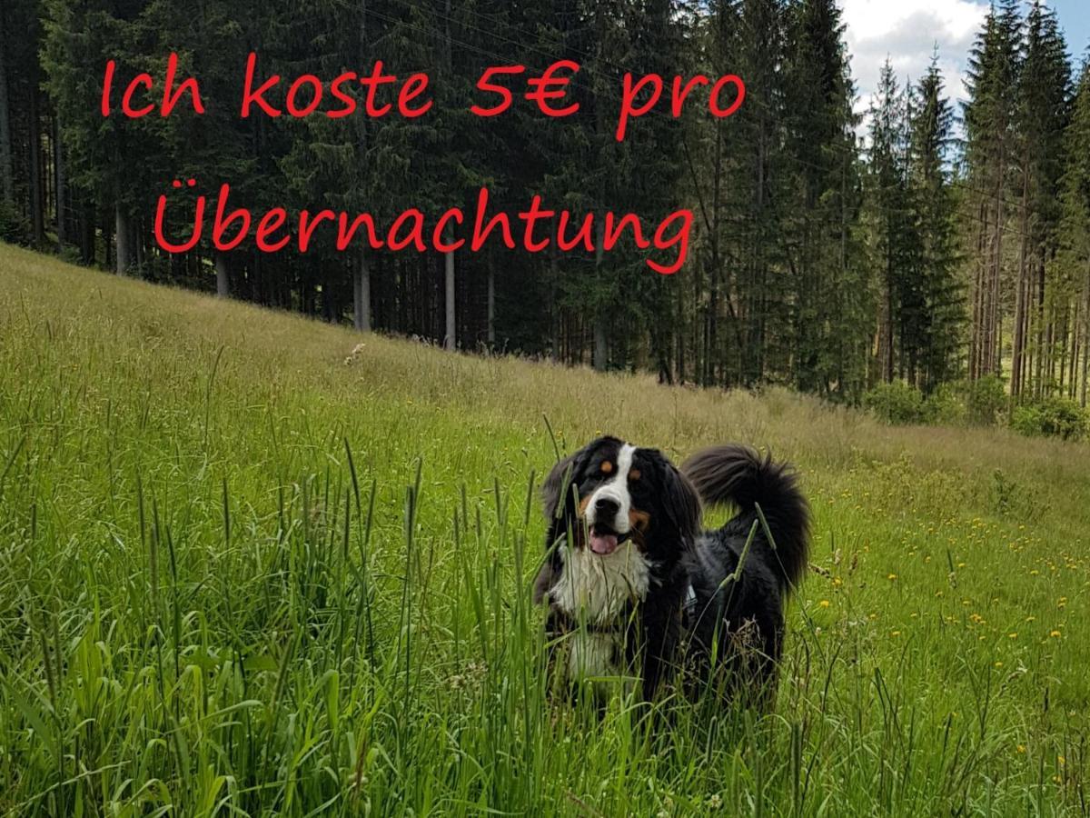 Ferienwohnung Borner Feldberg  Eksteriør billede